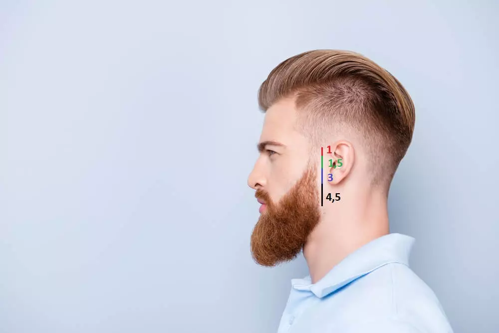 dégradé barbe